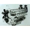 60 Years Genset Engine Power 110kw